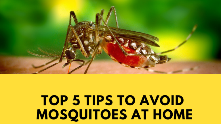 Top 5 Best Home Remedies to Get Rid of Mosquitoes using Kitchen Tips ...